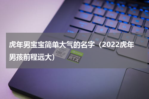 虎年男宝宝简单大气的名字（2022虎年男孩前程远大）