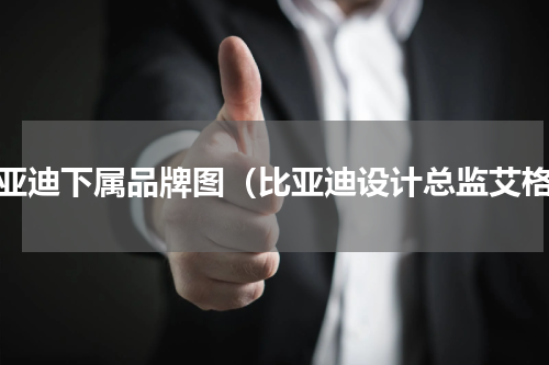 比亚迪下属品牌图（比亚迪设计总监艾格）