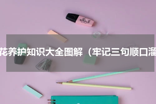 兰花养护知识大全图解（牢记三句顺口溜）