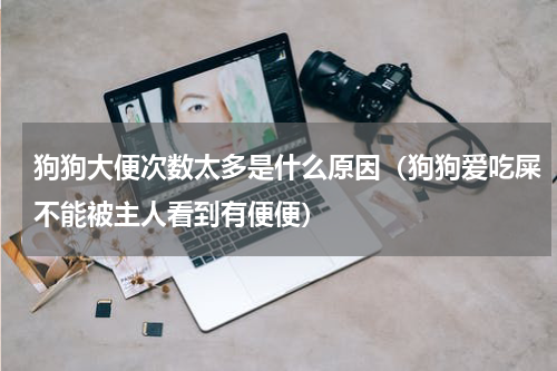 狗狗大便次数太多是什么原因（狗狗爱吃屎不能被主人看到有便便）