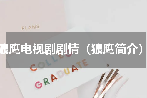 狼鹰电视剧剧情（狼鹰简介）