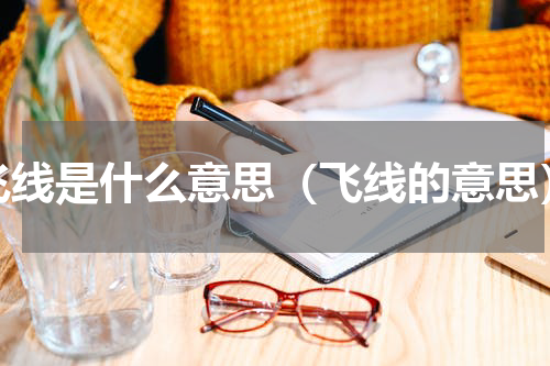 飞线是什么意思（飞线的意思）