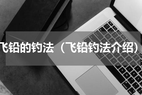 飞铅的钓法（飞铅钓法介绍）