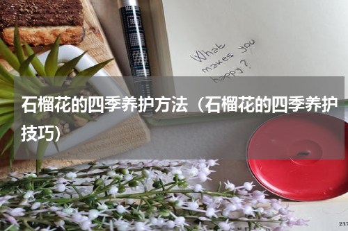 石榴花的四季养护方法（石榴花的四季养护技巧）