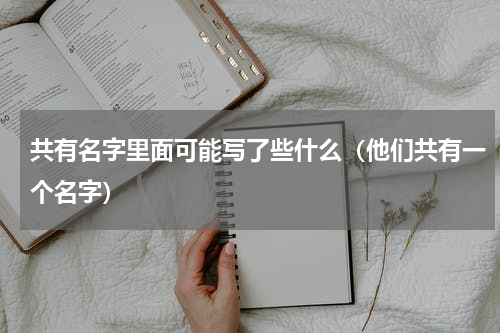 共有名字里面可能写了些什么（他们共有一个名字）