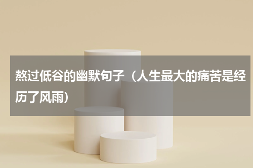熬过低谷的幽默句子（人生最大的痛苦是经历了风雨）