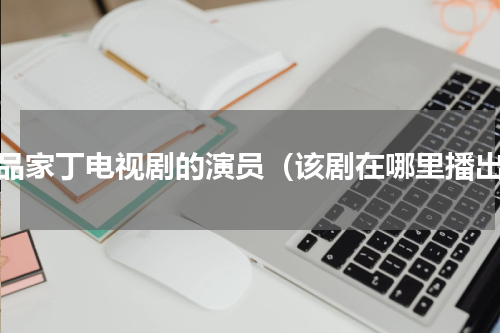 极品家丁电视剧的演员（该剧在哪里播出）