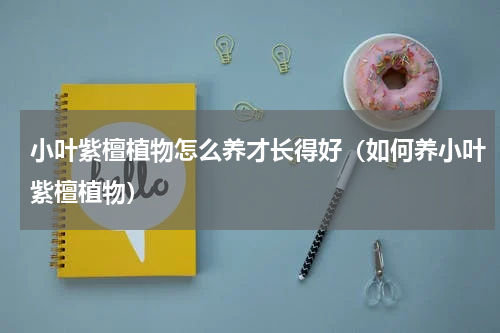 小叶紫檀植物怎么养才长得好（如何养小叶紫檀植物）