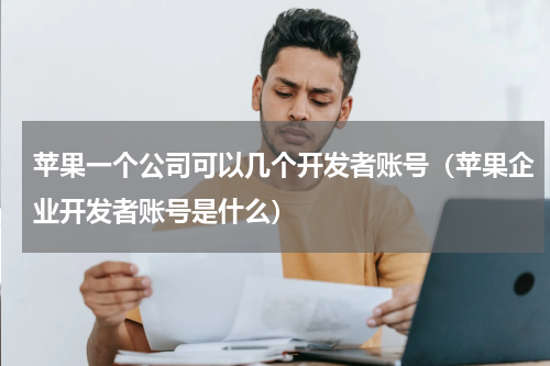 苹果一个公司可以几个开发者账号（苹果企业开发者账号是什么）