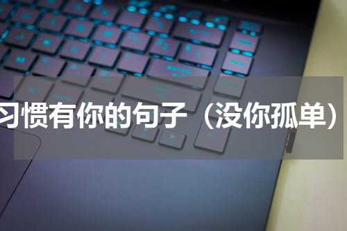 习惯有你的句子（没你孤单）