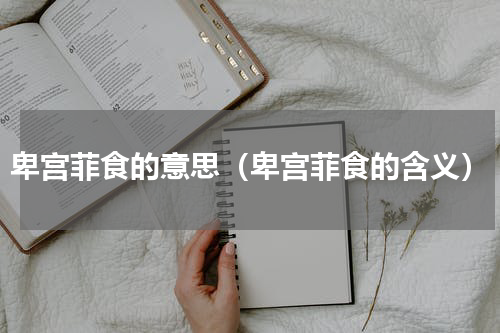 卑宫菲食的意思（卑宫菲食的含义）