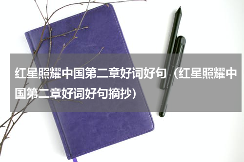 红星照耀中国第二章好词好句（红星照耀中国第二章好词好句摘抄）
