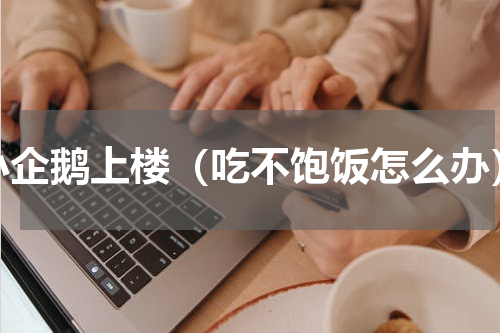 小企鹅上楼（吃不饱饭怎么办）