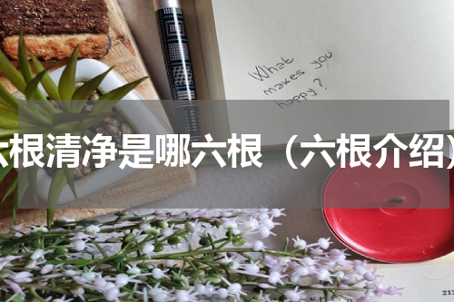 六根清净是哪六根（六根介绍）