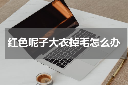 红色呢子大衣掉毛怎么办