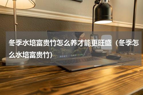 冬季水培富贵竹怎么养才能更旺盛（冬季怎么水培富贵竹）