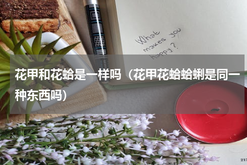 花甲和花蛤是一样吗（花甲花蛤蛤蜊是同一种东西吗）