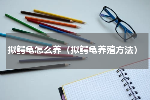 拟鳄龟怎么养（拟鳄龟养殖方法）