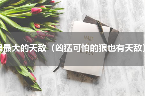 狼最大的天敌（凶猛可怕的狼也有天敌）