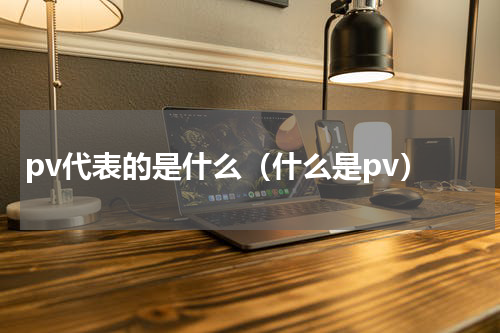 pv代表的是什么（什么是pv）