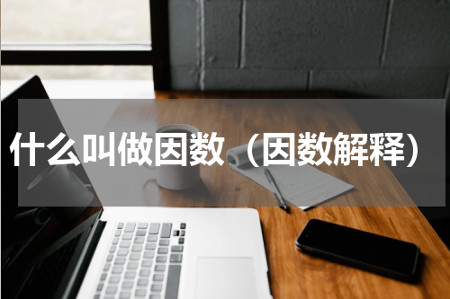 什么叫做因数（因数解释）