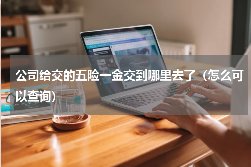 公司给交的五险一金交到哪里去了（怎么可以查询）
