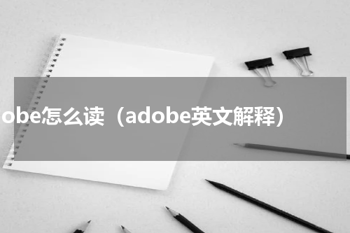 adobe怎么读（adobe英文解释）