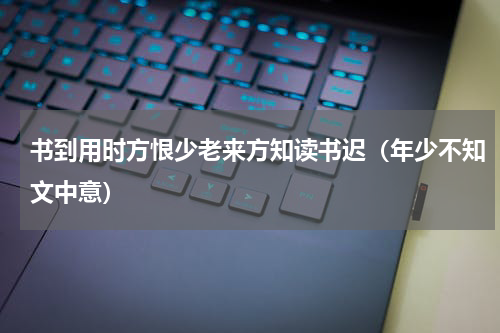书到用时方恨少老来方知读书迟（年少不知文中意）