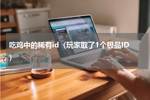 吃鸡中的稀有id（玩家取了1个极品ID）