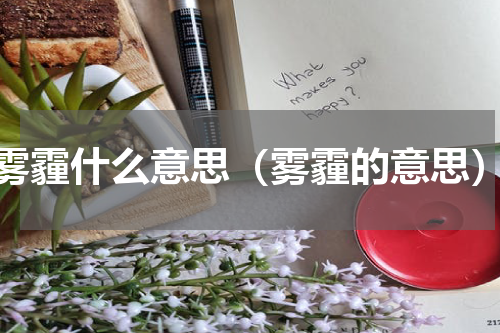 雾霾什么意思（雾霾的意思）