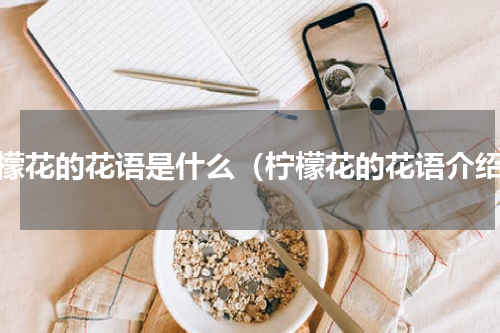 柠檬花的花语是什么（柠檬花的花语介绍）