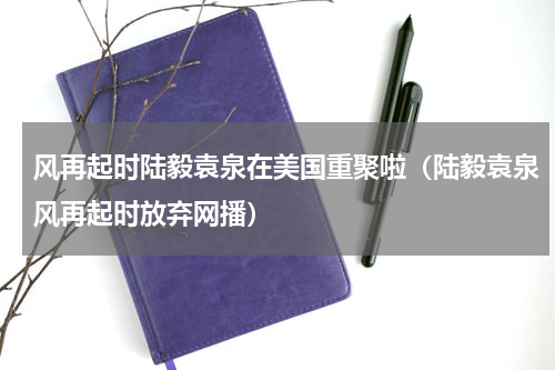 风再起时陆毅袁泉在美国重聚啦（陆毅袁泉风再起时放弃网播）