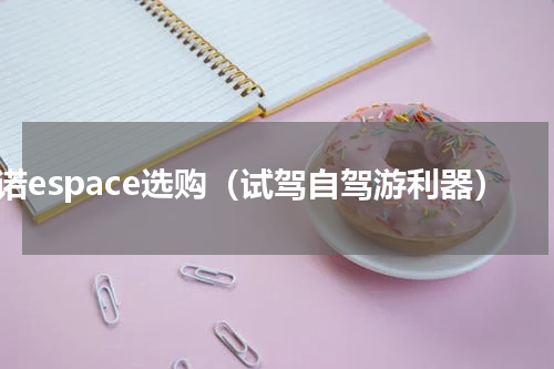 雷诺espace选购（试驾自驾游利器）
