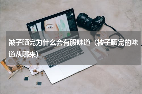 被子晒完为什么会有股味道（被子晒完的味道从哪来）
