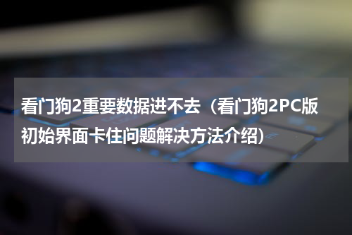 看门狗2重要数据进不去（看门狗2PC版初始界面卡住问题解决方法介绍）