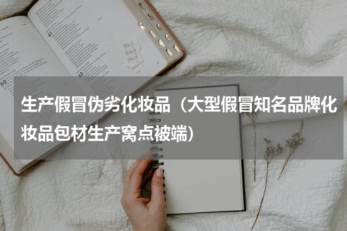 生产假冒伪劣化妆品（大型假冒知名品牌化妆品包材生产窝点被端）
