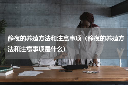 静夜的养殖方法和注意事项（静夜的养殖方法和注意事项是什么）