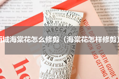 西域海棠花怎么修剪（海棠花怎样修剪）