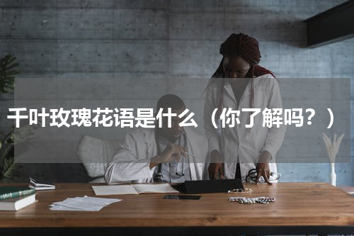 千叶玫瑰花语是什么（你了解吗？）