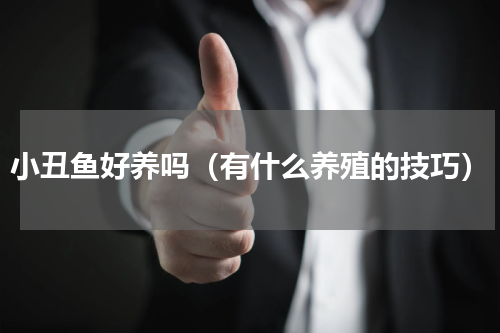 小丑鱼好养吗（有什么养殖的技巧）