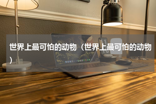 世界上最可怕的动物（世界上最可怕的动物）
