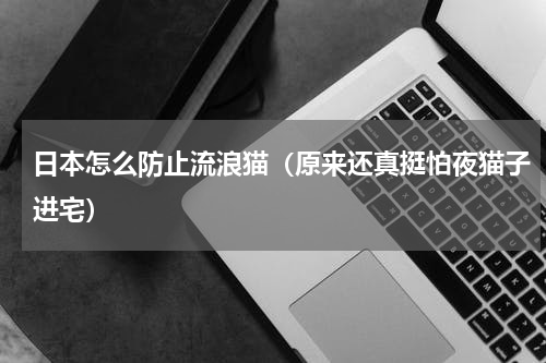 日本怎么防止流浪猫（原来还真挺怕夜猫子进宅）