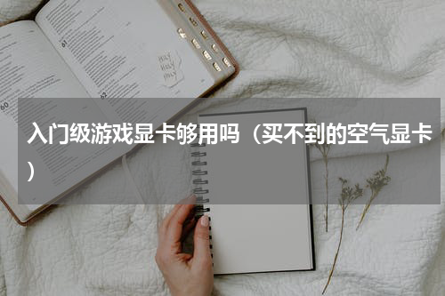 入门级游戏显卡够用吗（买不到的空气显卡）