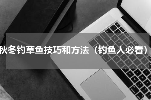 秋冬钓草鱼技巧和方法（钓鱼人必看）