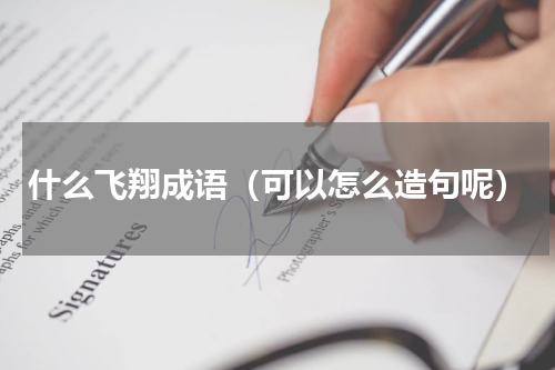 什么飞翔成语（可以怎么造句呢）