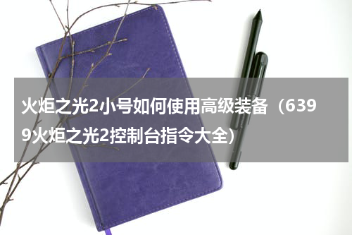 火炬之光2小号如何使用高级装备（6399火炬之光2控制台指令大全）
