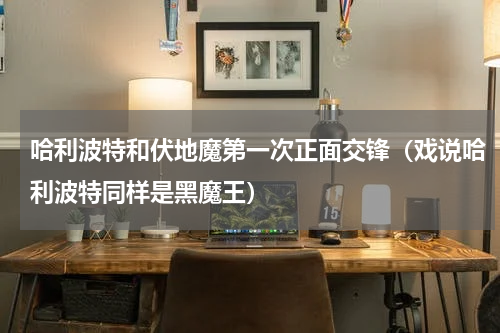 哈利波特和伏地魔第一次正面交锋（戏说哈利波特同样是黑魔王）
