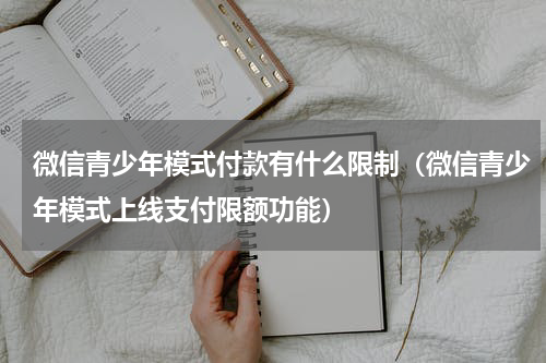微信青少年模式付款有什么限制（微信青少年模式上线支付限额功能）