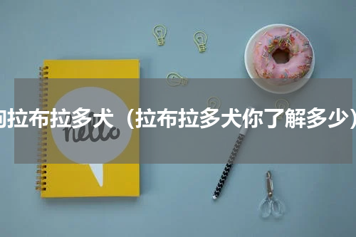 狗拉布拉多犬（拉布拉多犬你了解多少）