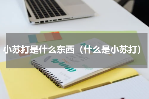 小苏打是什么东西（什么是小苏打）